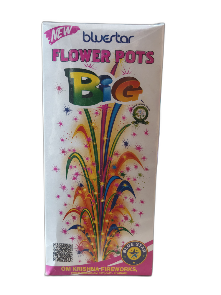FLOWER POTS BIG (BLUE STAR) - View 1