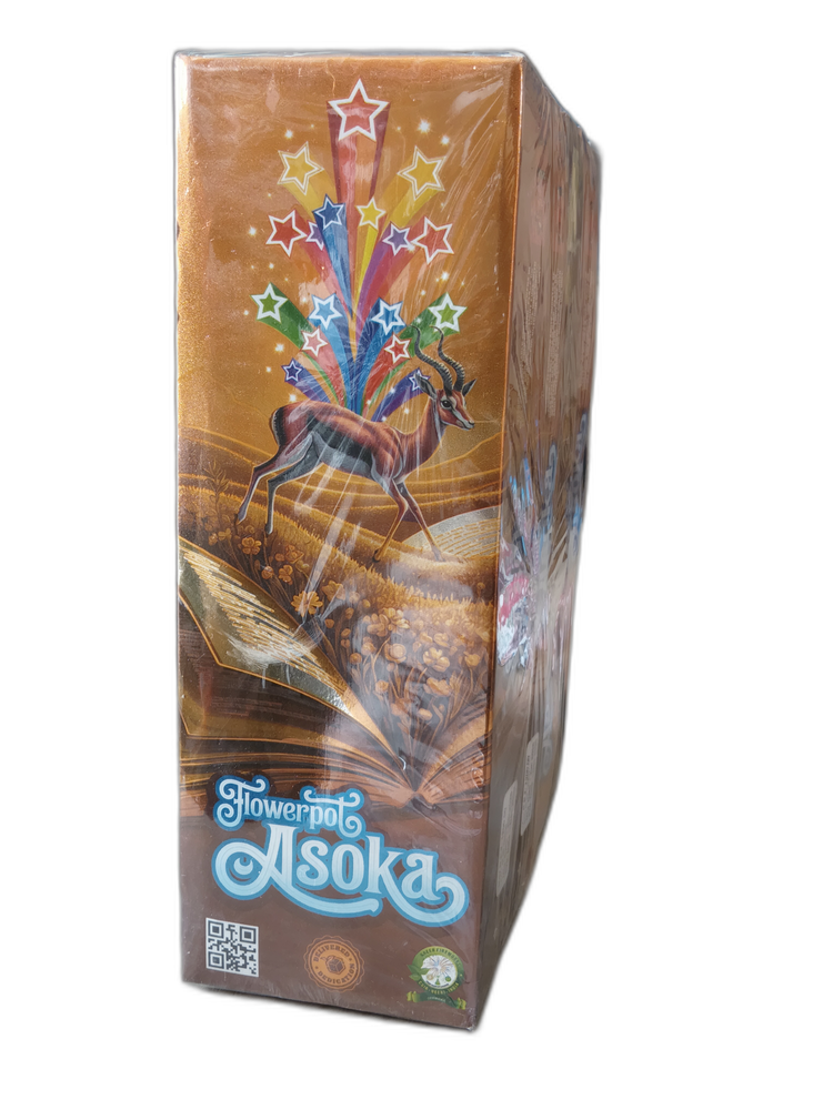 FLOWER POTS ASOKA (LIV BOX) - View 1